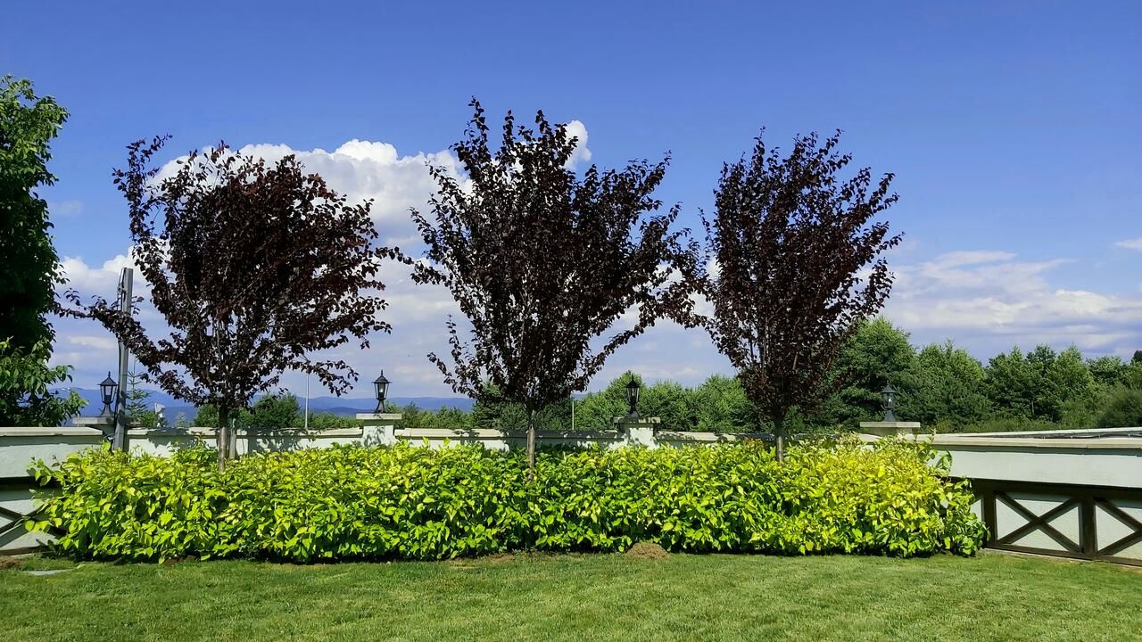 Отель Regnum Bansko Ski Hotel & SPA Банско-15